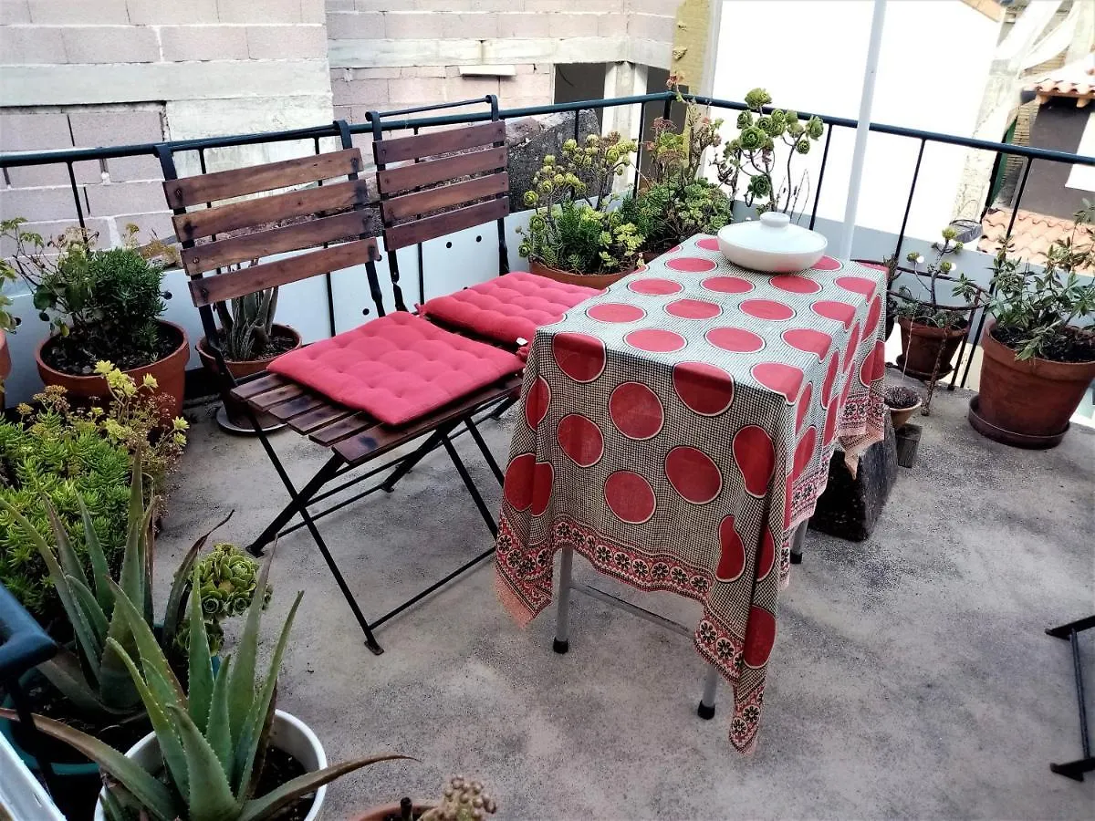Casa Da Judiaria Velha Hotel Viseu