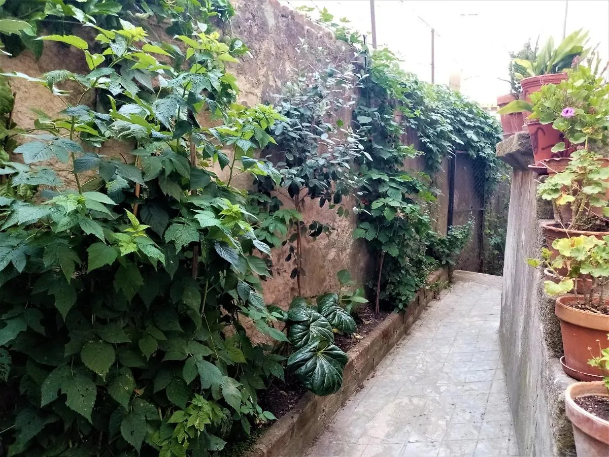 Casa Da Judiaria Velha Hotel Viseu Guest house